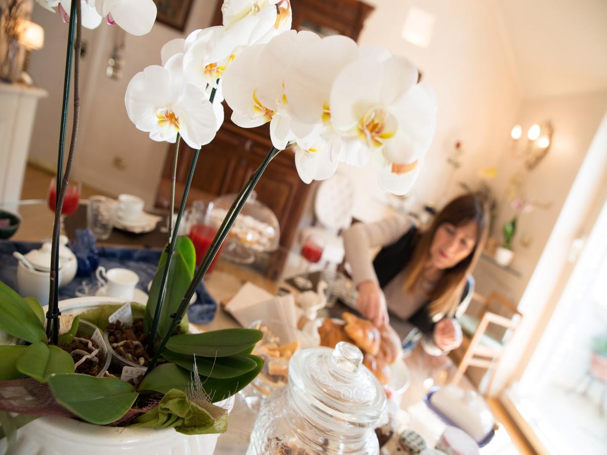 アスコリ・ピチェーノ Casa Malena Bed & Breakfast エクステリア 写真