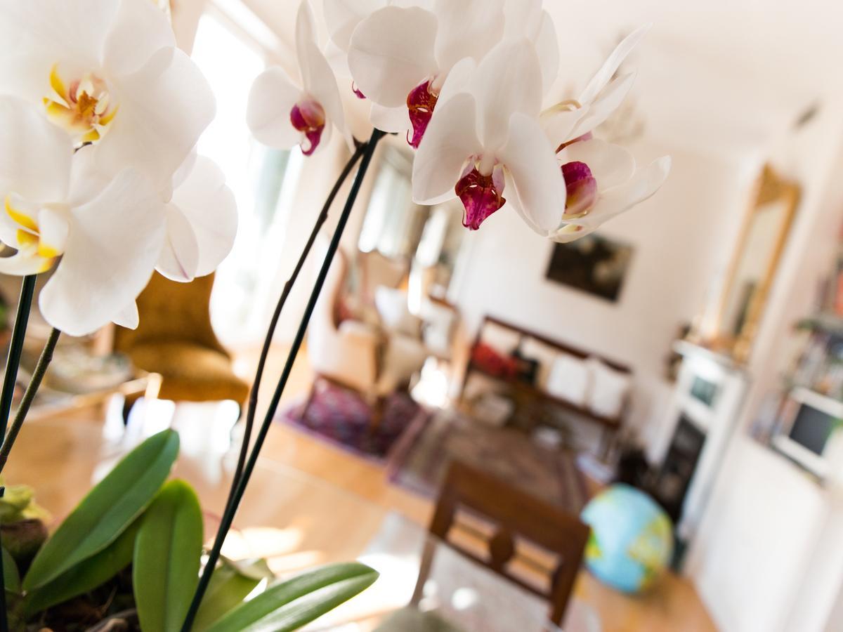 アスコリ・ピチェーノ Casa Malena Bed & Breakfast エクステリア 写真